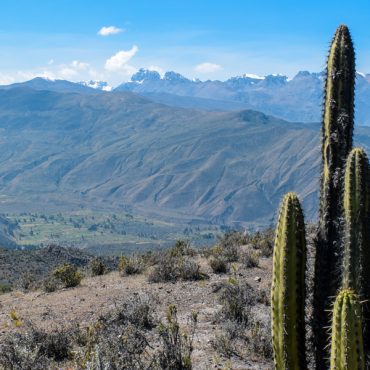 Valley of the Volcanoes
